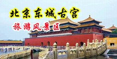内射骚逼浪情人HD黄色网站中国北京-东城古宫旅游风景区